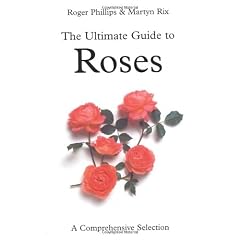 Ultimate Guide to Roses
