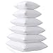 MoonRest 22 X 22 New Pillow Insert Form Hypo-allergenic - Made in USA