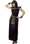 Midnight Cleopatra Costume - Adult Costume