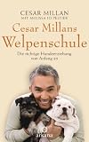 Cesar Millans Welpenschule: Die richtige Hundeerziehung von Anfang an