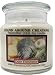 Premium 100% Soy Apothecary Candle - 16 oz.- Odor Eliminator: Wipe out smoke and odors quickly w/a invigorating spice,cinnamon, grapefruit/w/orange
