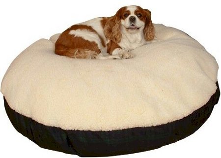 snoozy dog bed