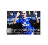 Andy Johnson signed Everton photo