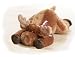 MERRY MERRY MOOSE LARGE TUSHIE PLUSH TOY 28"