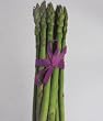 Bookmark Bundle of Asparagus