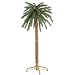 Palm Island Home 6' Lighted Palm Tree