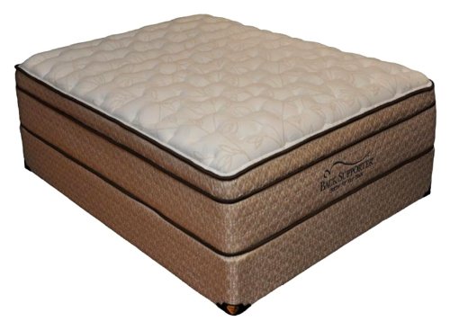 Spring Air 991633M Bridget Back Supporter Mattress- Twin