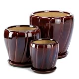 Red Brown Ocher Glaze Elegance Foliage Planter Trio Set
