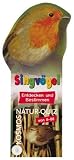 Produkt-Bild: KOSMOS - Quizf&auml;cher - Singv&ouml;gel