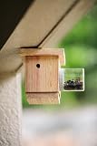 Bees N Things Carpenter Bee Trap