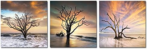Spirit Up Art 3pcs/set Modern Decor Giclee Prints Framed Artwork Tree without Leaves in Sea Pictures to Photo Paintings Print on Canvas Wall Art for Home Decorations 16 by 16inch, Ready to Hang