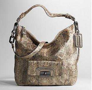 coach hobo python