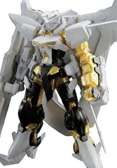 HG 1/144 MBF-P01 ガンダムアストレイ ゴールドフレーム アマツミナ (機動戦士ガンダムSEED VS ASTRAY)