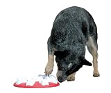 Nina Ottosson's Interactive Dog Toy, Magic Puzzle