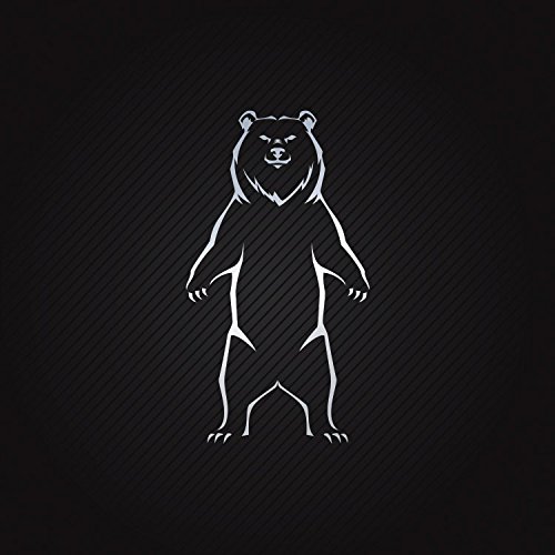 Stickers Decal Polar Bear Sailboat Specialty Stable Bike Activity Vi Chrome_Mirror_Metallic (10 X 5.51 In)