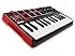 Akai Professional MPK Mini MKII 25-Key Ultra-Portable USB MIDI Drum Pad and Keyboard Controller with Joystick