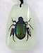 Glow-in-the-Dark Colorful Scarab Beetle Pendant for Halloween Costumes