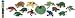 Safari LTD Frogs and Turtles Toob