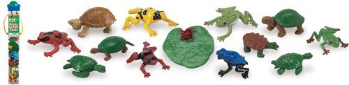 Safari LTD Frogs and Turtles Toob