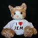 Plush Stuffed Cat (Kit Kat) toy with I Love Jem t-shirt