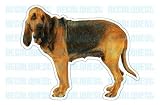 Pet Supplies : BLOODHOUND - Dog Decal - blood hound sticker gift car