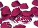 1000 Burgundy Wedding Silk Rose Petals Flower Artificial