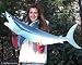 Giant Taxidermy Mako Shark Full Wall Mount Fiberglass