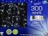 Toys : Christmas Tree / Fairy Lights - 300 White LED Lights
