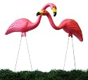 2 Pink Yard Flamingos