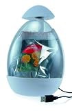 Dream Cheeky USB Greenhouse