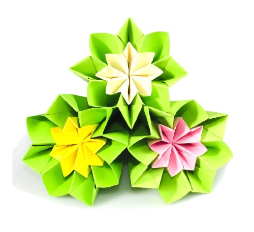 Origami-Paper-Special-500-Sheet-Economy-Pack-6-Inch-Square-Sheets-20-Vivid-Colors-100-Design-Ebook-Included-please-check-the-back-of-the-cover