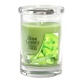Yankee Candle&reg; Home Classics Tumbler Candle - Sunsweet Melon (10 oz)