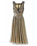 Newport News Shirred mesh dress