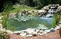 Clear Pond Complete In-Ground Backyard Pond Kit - 4ft. x 6ft. x 18in. Deep, Model# 71104