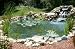 Clear Pond