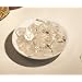 Tumbled Stones: Clear Quartz (Small)