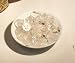 Tumbled Stones: Clear Quartz (Small)