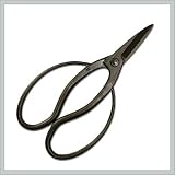Bonsai Tree Tool - Traditional Bonsai Shear - By joebonsai