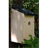 Bird Nest Box Camera Kit. Bird Nest Box with Wired 380 tvl Camera and 30 metres of Cableby Birdboxesonline
