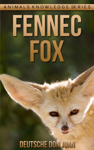 Fennec Fox: Beautiful Pictures & Interesting Facts Children Book About Fennec Fox (Animals Knowledge Series)