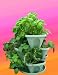 Mini-Garden Stacker- Stackable / Hangable Self-Watering All Season Planter (Color: Terra Cotta) - Indoor / Outdoor Stacking Flower Pot-Flowers, Herbs, Plants, Garden, Indoor Gardening & More. Great Gift.