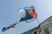 Kite Regular Size Applique Flag