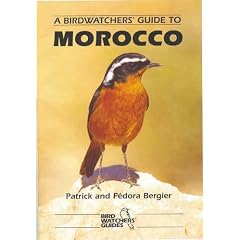 A Birdwatchers' Guide to Morocco