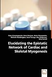 Elucidating the Epistatic Network of Cardiac and Skeletal Myogenesis