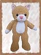 944 Teenie Teddies Cat 8" Make Your Own *NO SEW* Stuffed Animal Kit