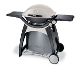 Weber 426001 Q 300 Propane Gas Barbecue