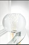 Oval Vase with Gold Accents
