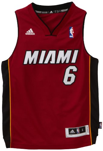 NBA Youth Miami Heat LeBron James Swingman Alternate Jersey  (Garnet, Large)