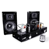 Fatman FITCES2 iTube ValveDock Carbon Edition 2 with Speakers