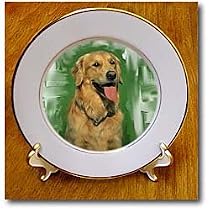 Dogs Golden Retriever - Golden Retriever - Plates